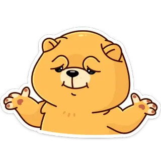 🤷‍♂ urso, desenho animado, adesivo, fofo, animal, ilustração telegram sticker