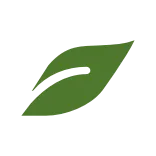 🌱