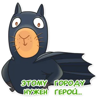 🦸‍♂️ ЭТОМУ ГОРОДУ НУЖЕН ГЕРОЙ... kucing, pahlawan, hewan, kartun, stiker telegram sticker