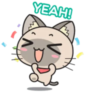 🙌 YEAH! cat, celebration, happy, cartoon, animal whatsapp sticker