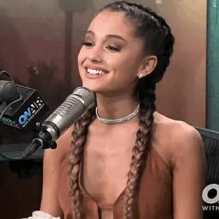🌿 Ariana Grande chanteur, célébrité, portrait, musique, femme, microphone, interview whatsapp sticker