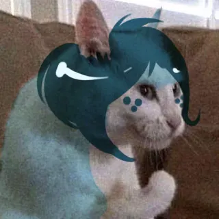 😐 gatto, anime, carino, divertente, meme, kawaii telegram sticker