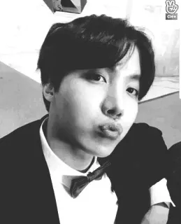 💱 J-Hope K-pop, cantor, idol, retrato telegram sticker