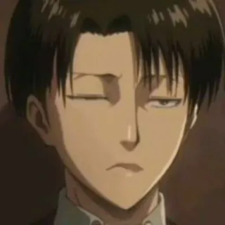 🐾 Levi Ackerman Attack on Titan Anime, Levi, Attack on Titan, Manga, Charakter telegram sticker