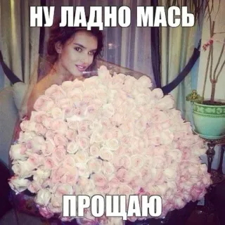 🌟 НУ ЛАДНО МАСЬ
ПРОЩАЮ ดอกไม้, ดอกกุหลาบ, ข้อความ, ผู้หญิง, ช่อดอกไม้ telegram sticker