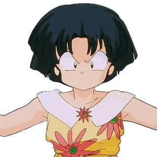 😶 Akane Tendo Ranma ½ Anime, Chica, Enojada, Pelea, Artes Marciales whatsapp sticker