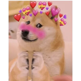 ☺️ Doge doge, perro, meme, amor, corazones, lindo, mascota, animal telegram sticker