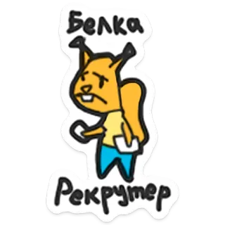 🐿 Белка Рекрутер sóc, phim hoạt hình, nhà tuyển dụng, văn phòng, động vật telegram sticker