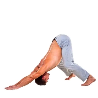 😁 yoga, exercise, downward dog, pose, man, fitness telegram sticker
