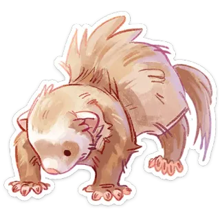 ⭐ furão, animal, fofo, animal de estimação, doninha, mamífero telegram sticker