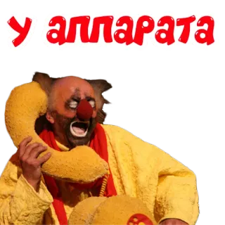 📞 У. аппарата клоун, телефон, красный нос, смешной telegram sticker