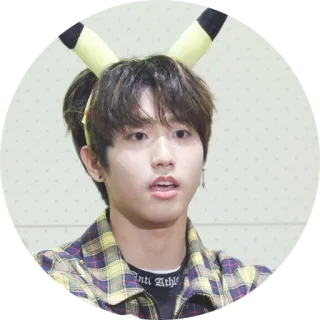 😲 ANTI ATHL man, pikachu, kpop, ear, plaid, flannel, han telegram sticker