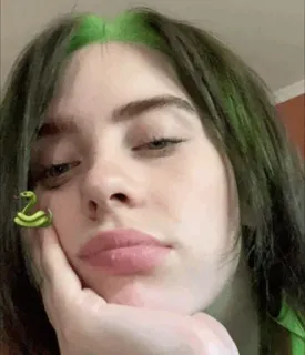 ✨ Billie Eilish musicien, chanteur, portrait, cheveux verts, Billie Eilish, serpent telegram sticker