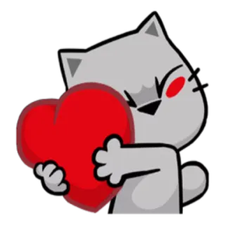 💕 cat, heart, love, affection, cute telegram sticker