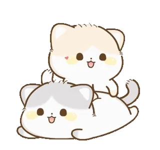😍 кот, животное, каваий, милый, котёнок, питомец, наклейка whatsapp sticker