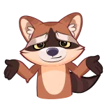 🤷‍♀️ guaxinim, dar de ombros, incerto, desenho animado, animal, mamífero telegram sticker