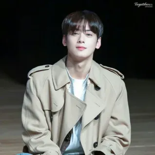 🌷 Cha Eun-woo 韓国俳優, セレブ, 歌手, イケメン, ファッション, モデル telegram sticker