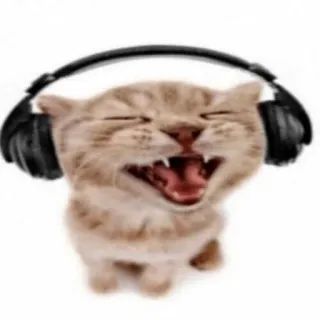 🤠 cat, headphones, animal, music, cute telegram sticker