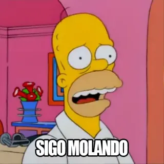 ☹ Homer Simpson The Simpsons SIGO MOLANDO homer simpson, i simpson, cartoni animati, divertente telegram sticker
