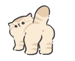 ⭐ kat, schattig, dier, huisdier, kitten, grappig telegram sticker