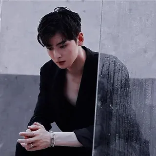 🦧 Cha Eun-woo aktor korea, ganteng, potret, aktor, pria, kpop whatsapp sticker