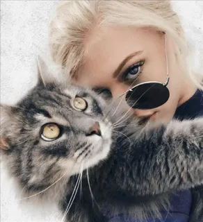 😺 mujer, gato, mascota, gafas de sol, rubia, gato gris, animal, retrato telegram sticker