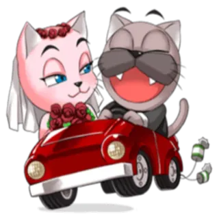 🚘 猫, 結婚式, 花嫁, 花婿, 車, お祝い, ロマンス telegram sticker