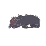 😭 whatsapp sticker