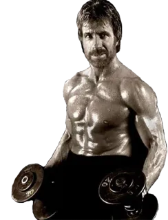💪 Chuck Norris actor, martial arts, fitness, exercise, man, muscles telegram sticker