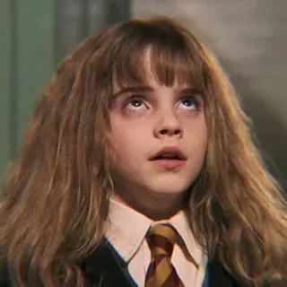 🐿 Hermione Granger Harry Potter Hermelien Griffel, Harry Potter, schooluniform, portret telegram sticker