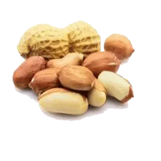 🥜 cacahuetes, nueces, comida, snack, saludable telegram sticker
