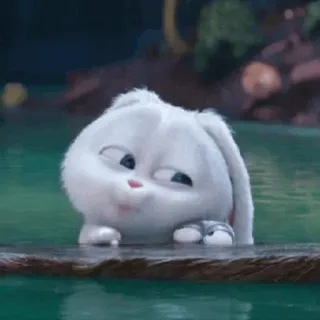 🐰 Snowball The Secret Life of Pets Hase, Kaninchen, süß, animiert, lustig, Haustier telegram sticker