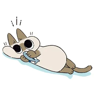 🐟 cat, cute, animal, fish, cartoon, siamese, playful telegram sticker