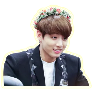 😄 personne, couronne de fleurs, souriant(e), K-pop, célébrité, portrait telegram sticker
