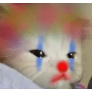 🥺 gatto, pagliaccio, triste, meme, animale, divertente telegram sticker