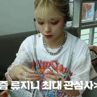 💶 좀 루지니 최대 관심사> telegram sticker
