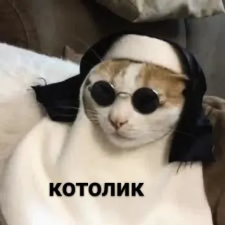 ✝️ КОТОЛИК แมว, แม่ชี, แว่นตา, ตลก, кот, ตลก whatsapp sticker