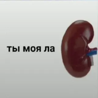 ❤️ Ты моя ла telegram sticker