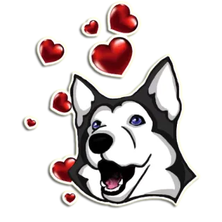 😍 cachorro, husky, corações, amor, animal, fofo, adesivo telegram sticker