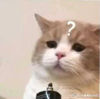 ❓ кот, вопрос, в замешательстве, думает, питомец telegram sticker