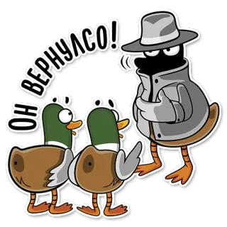 😎 ОН ВЕРНУЛСО! kaczka, kreskówka, szpieg, śmieszne telegram sticker