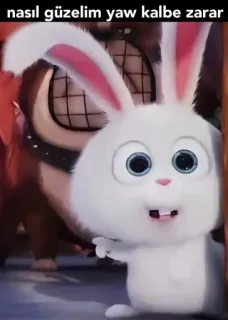 😍 Snowball The Secret Life of Pets nasil güzelim yaw kalbe zarar 만화, 동물, 토끼, 토끼, 애니메이션, 귀여운, 웃긴 whatsapp sticker