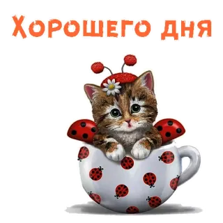 😄 ХОРОШЕГО ДНЯ cat, ladybug, cup, good day, kitten, cute telegram sticker