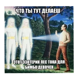 🖼 ЧТО ТЫ ТУТ ДЕЛАЕШ ЭТОТ ЭЗОТЕРИК ЛЕС ТОКА ДЛЯ БИМБО ДЕВОЧЕК telegram sticker