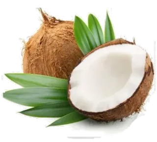 🌿 coconut, fruit, tropical, food, healthy, plant telegram sticker
