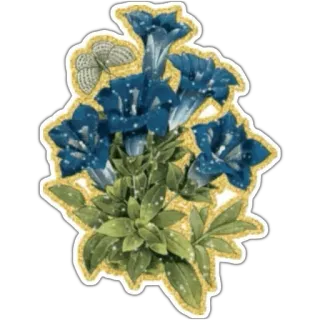 🌹 flowers, blue, floral, gentiana, spring, nature, butterfly whatsapp sticker
