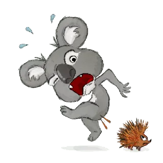 Koala telegram stickers