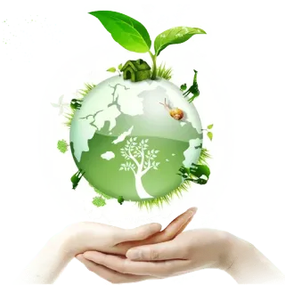 🌱 terre, nature, environnement, vert, mains, écologie, préservation whatsapp sticker