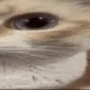😑