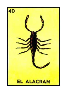 🦂 EL ALACRAN 로테리아, 엘 알라크란, 전갈, 멕시코 빙고, 게임 telegram sticker